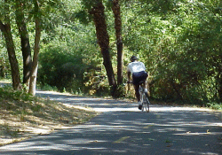 Los Gatos Creek Trail