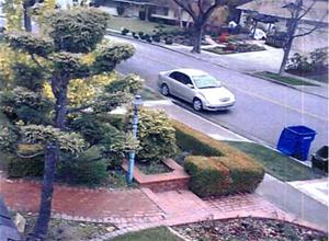 Surveillance Photo Web.jpg