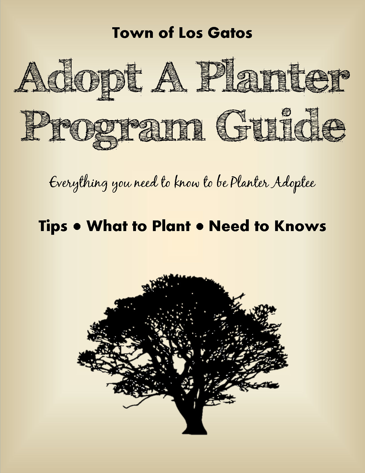 Downtown Planter Guidelines and Recommendations3