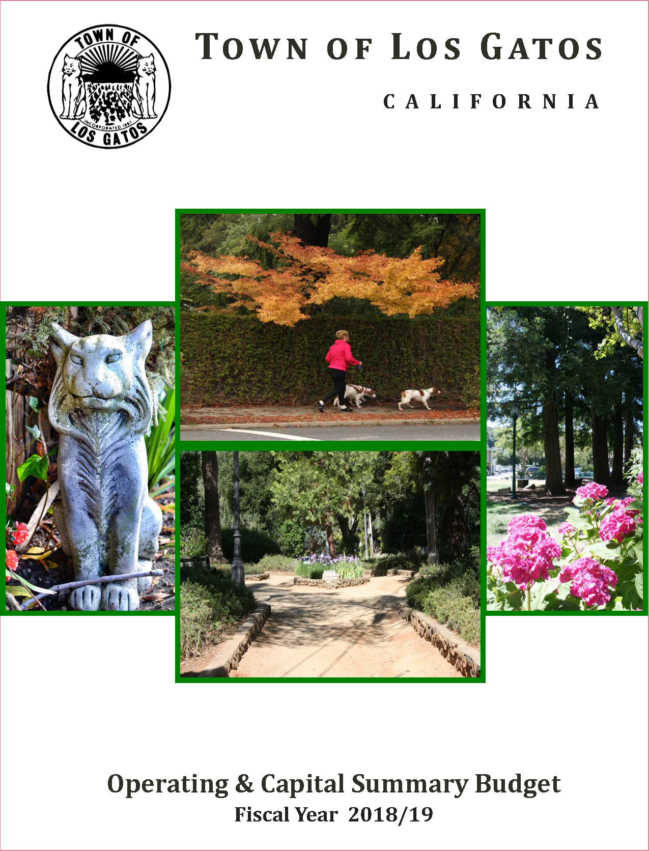 Budget Cover 2018-2019