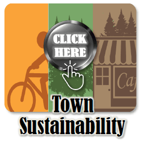 Town Sustainability