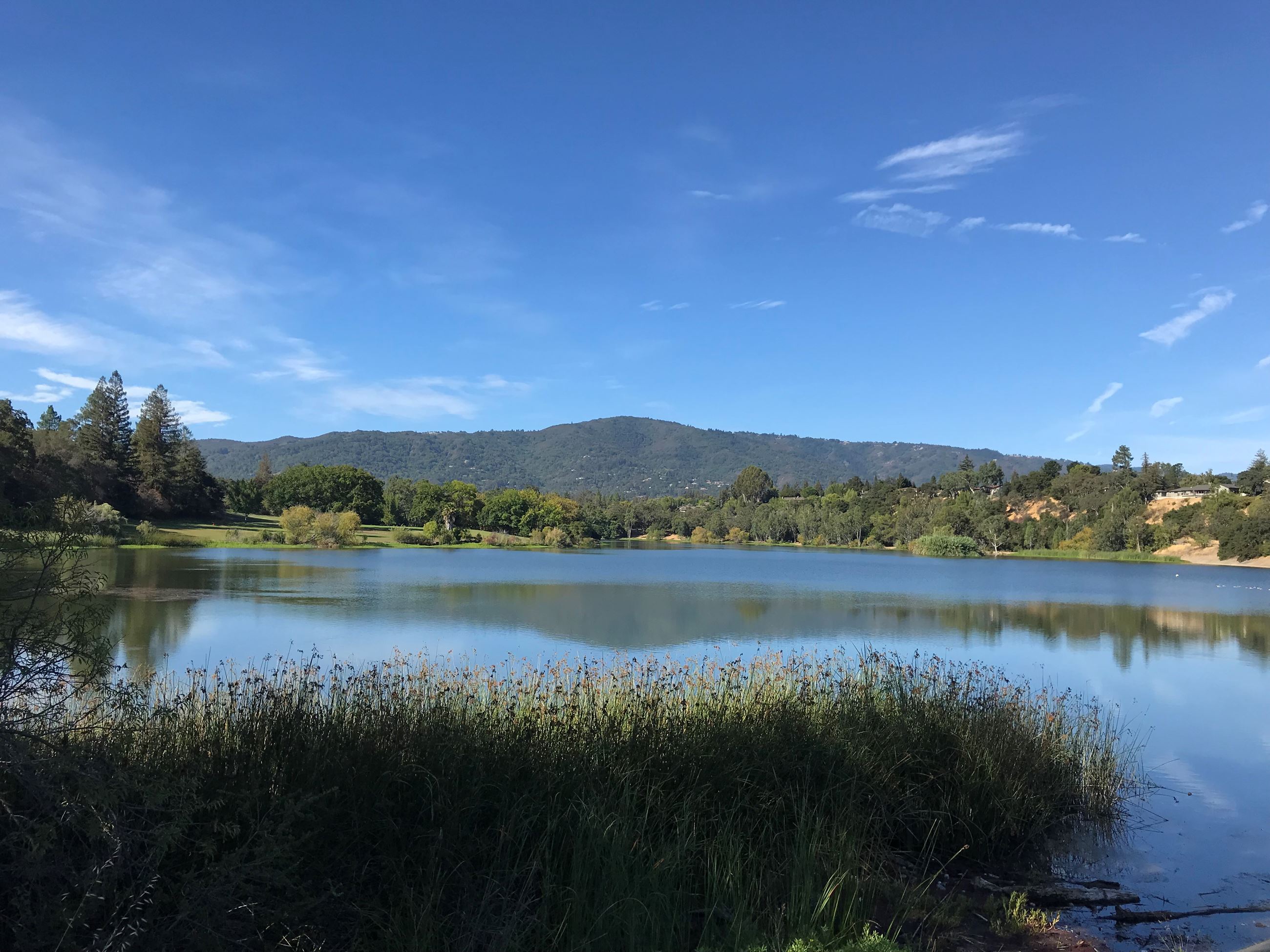 Los Gatos Creek Trail