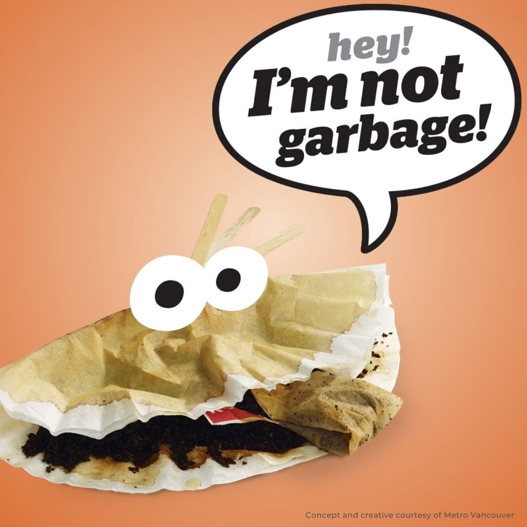 232596772_4499893770032477_3588900373439203461_n